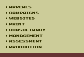 appeals, campaigns, websites, print, consultancy, amangement, assessment, production